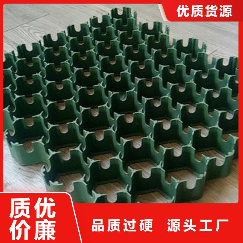 植草格水泥化粪池快速发货