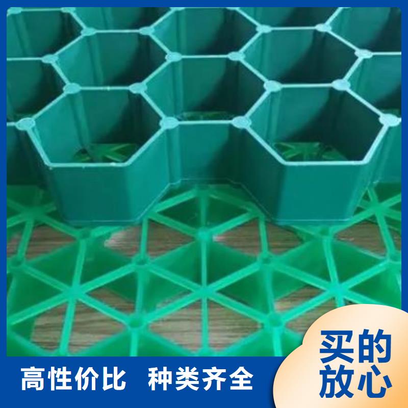 植草格_水泥化粪池品质好才是硬道理