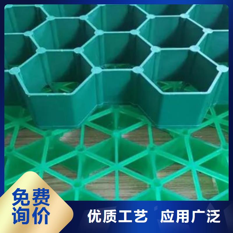 植草格植草格多年行业经验