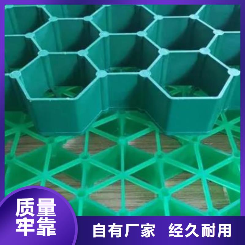 植草格-排水板高质量高信誉
