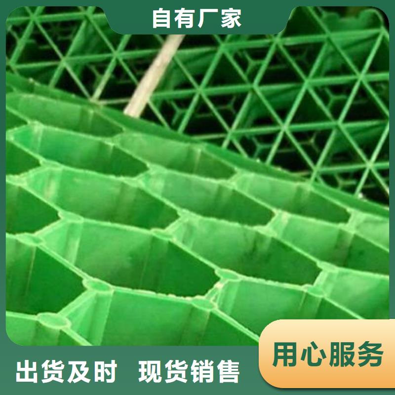 植草格排水板厂家经验丰富