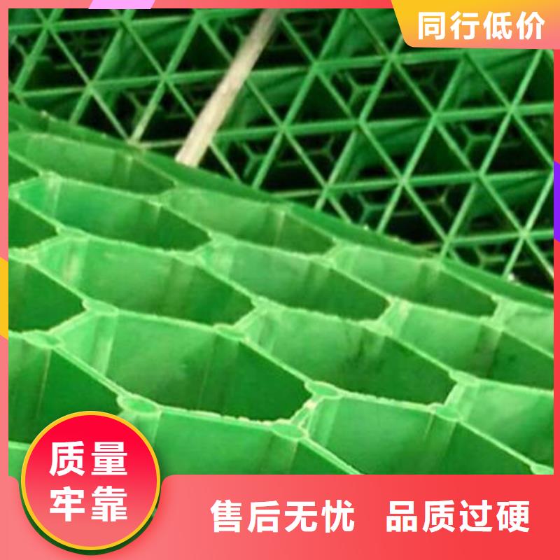 植草格植草格质检严格