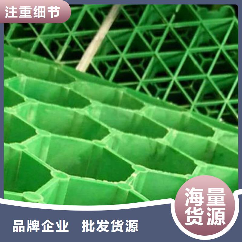 植草格水泥化粪池精选货源