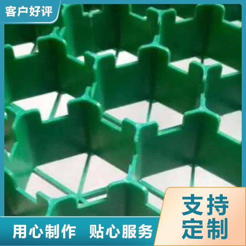 植草格水泥化粪池精选货源