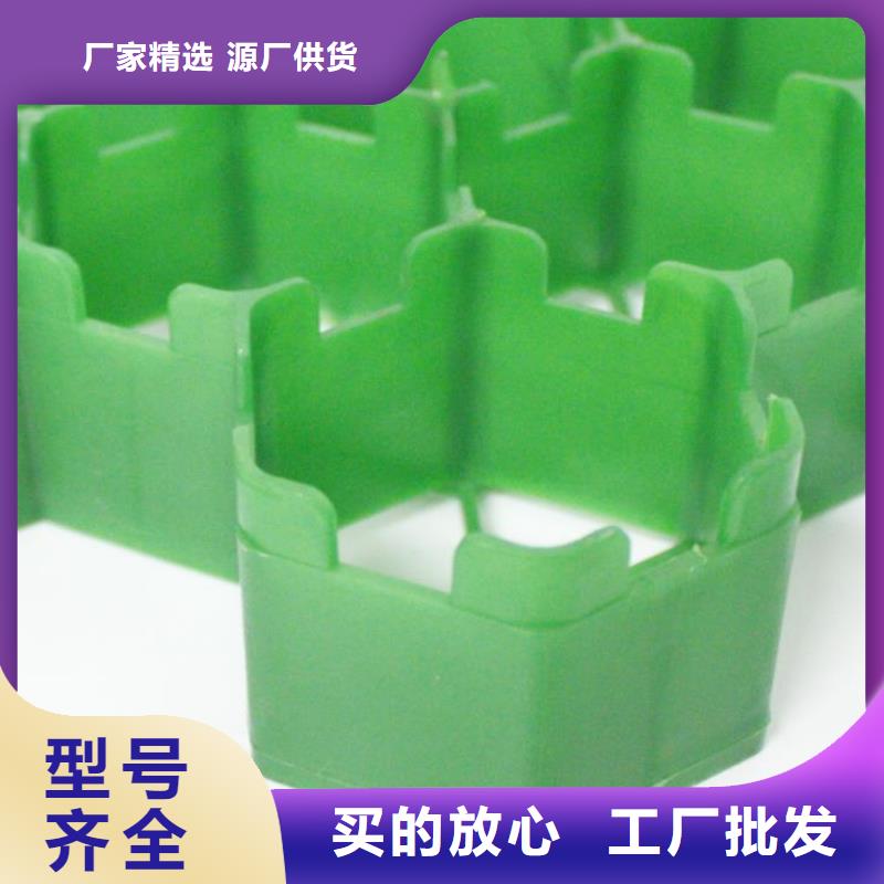 【植草格水泥化粪池物美价优】