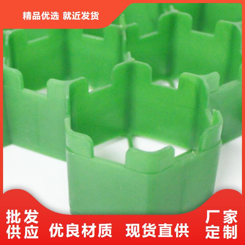 植草格水泥化粪池一手价格