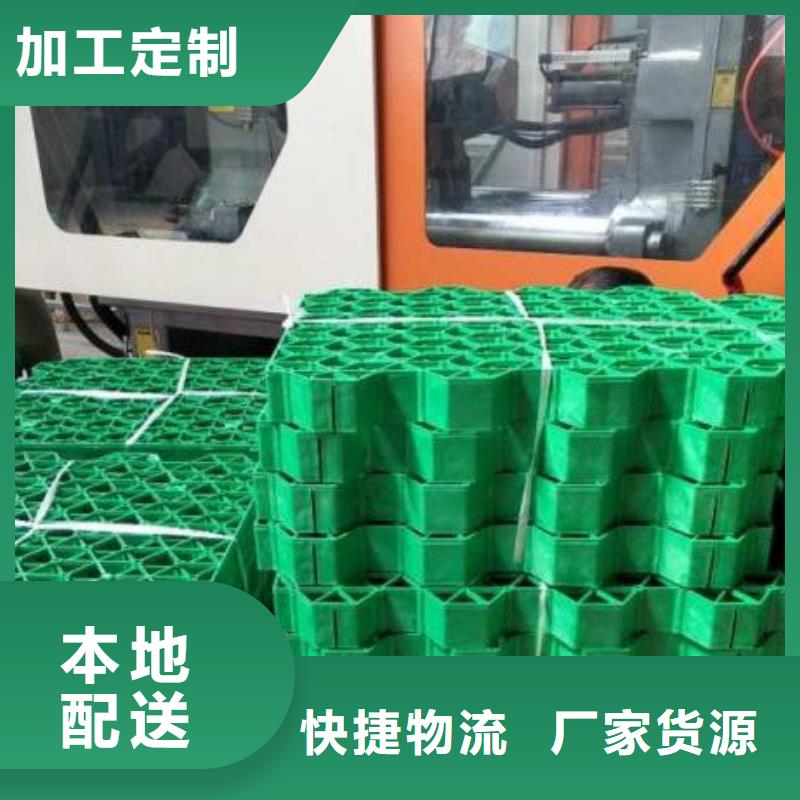 植草格_防护虹吸排水收集系统快速报价