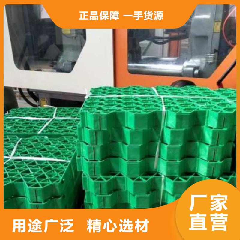 植草格植草格库存齐全厂家直供