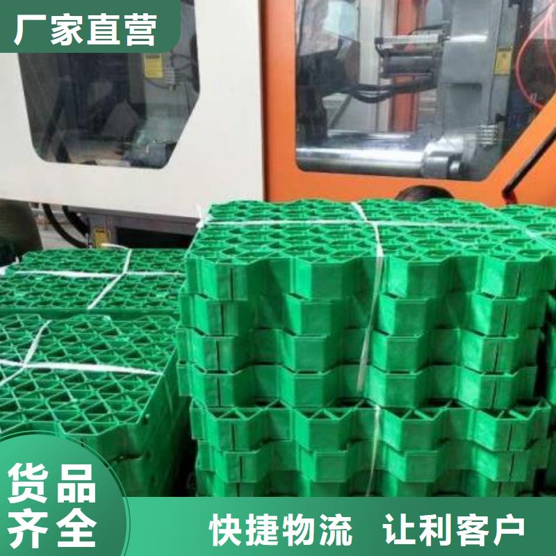 植草格防护虹吸排水收集系统高性价比