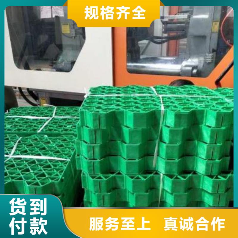 【植草格】-排水板来图定制量大从优