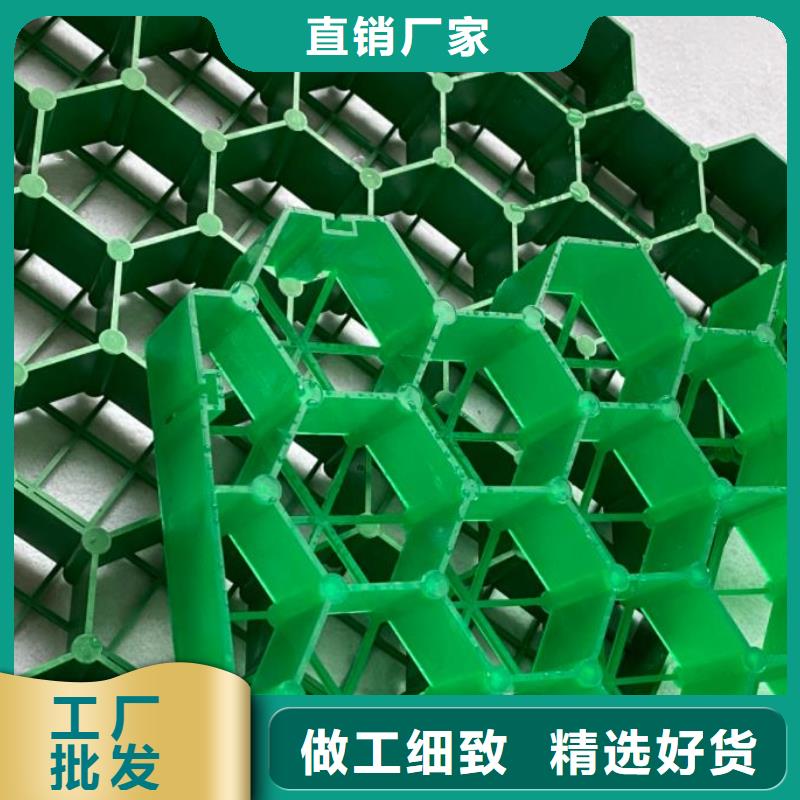 植草格水泥化粪池精益求精