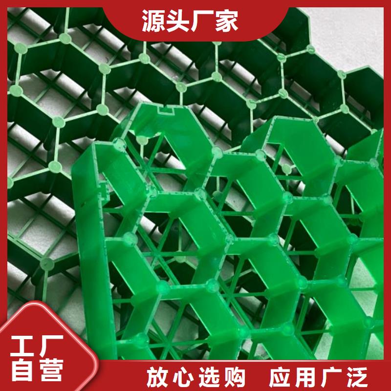植草格水泥化粪池订制批发