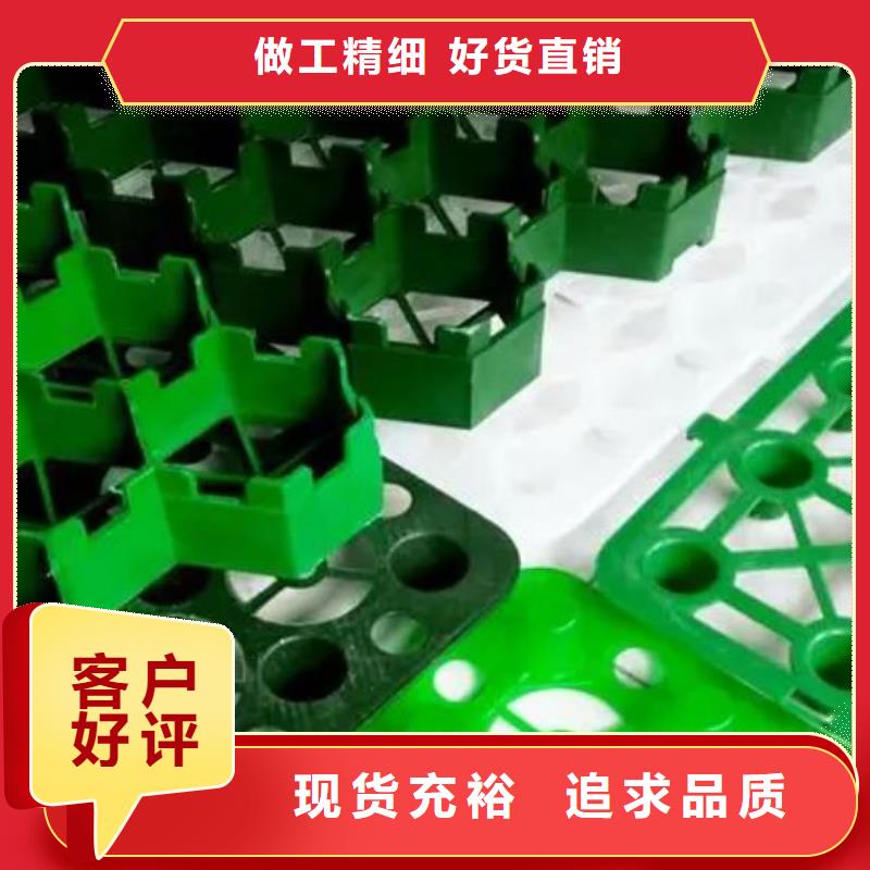 【植草格水泥化粪池源头厂家经验丰富】
