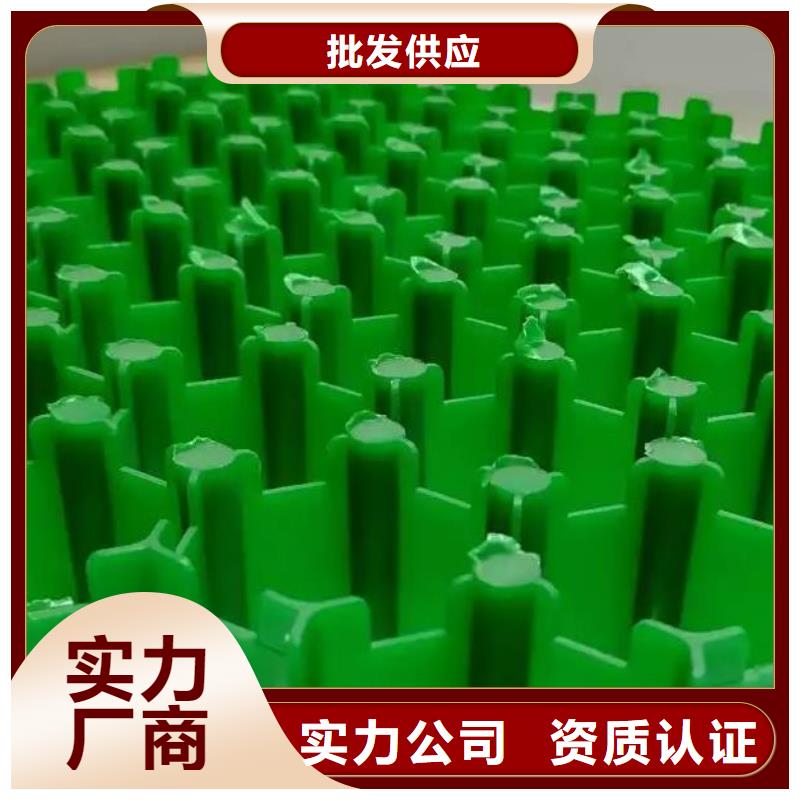 植草格防护虹吸排水收集系统厂家直发