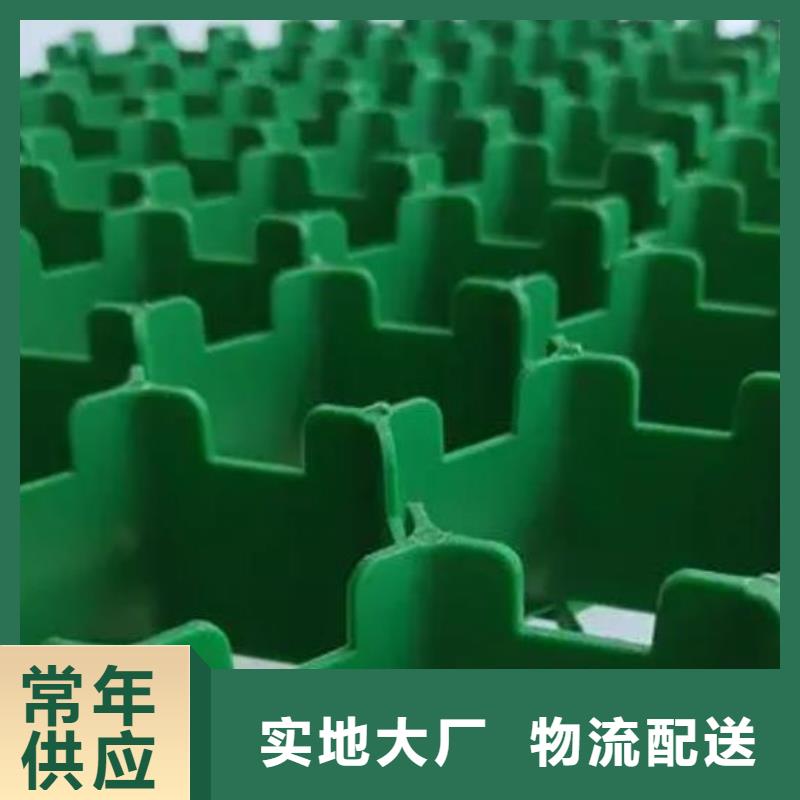 植草格水泥化粪池订制批发