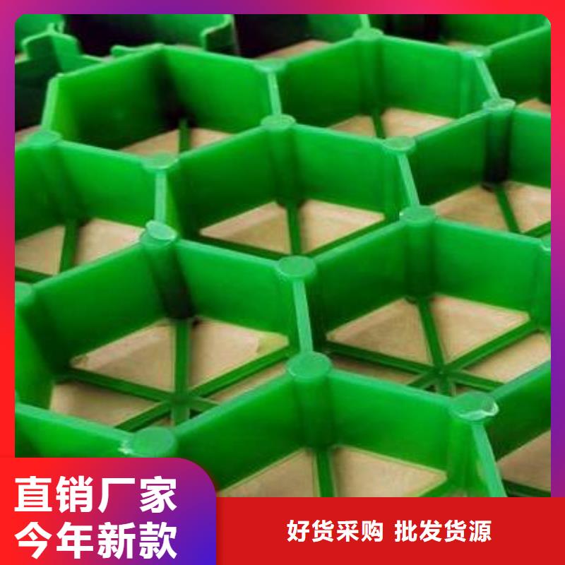 植草格水泥化粪池畅销本地