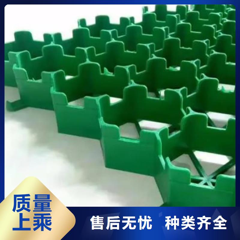 植草格实力商家供货稳定