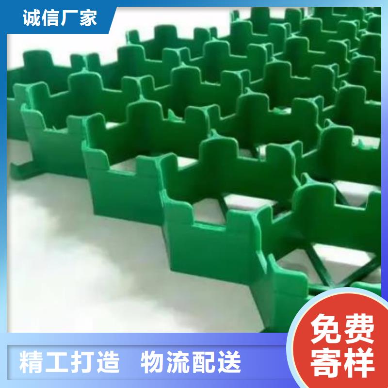 植草格_水泥化粪池品质好才是硬道理