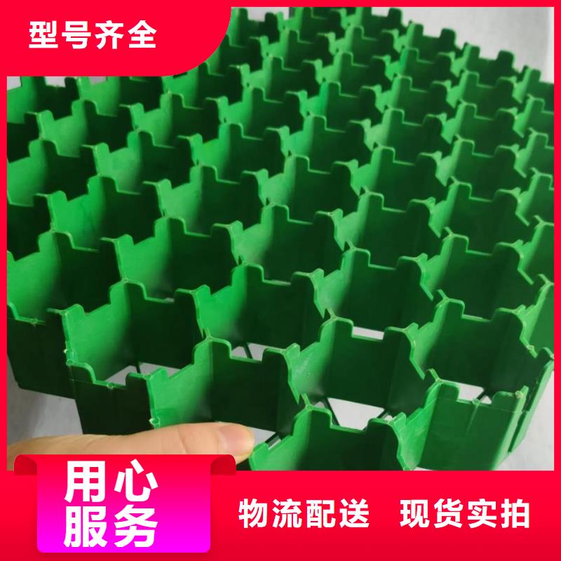 植草格水泥化粪池精选货源