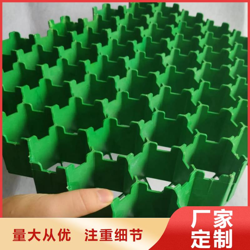 植草格排水板直销厂家