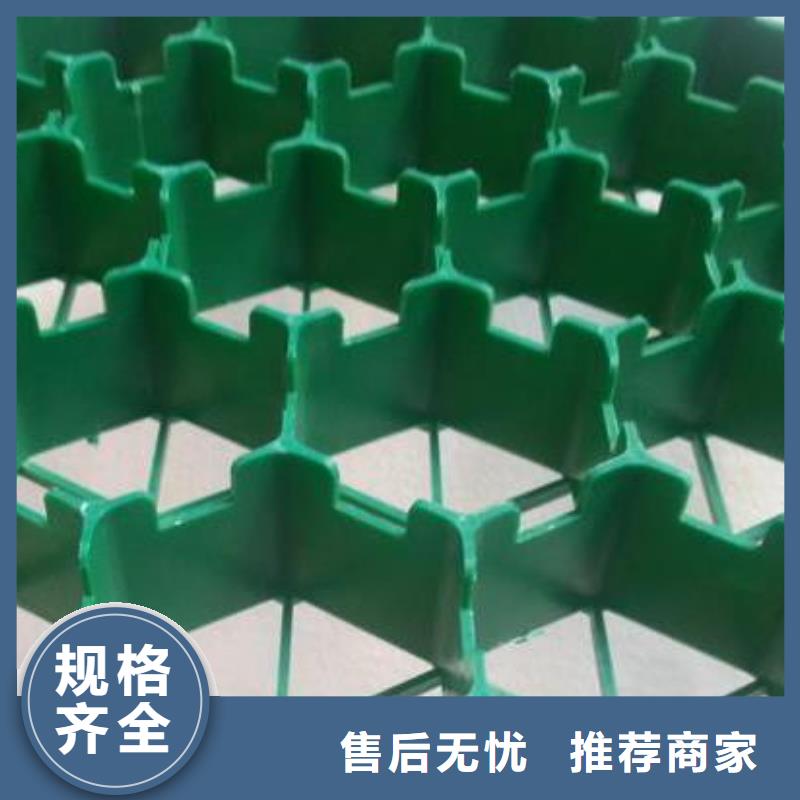 植草格水泥化粪池快速发货
