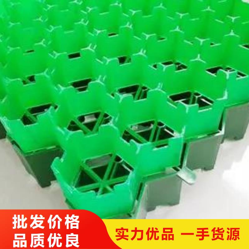 植草格水泥化粪池快速发货