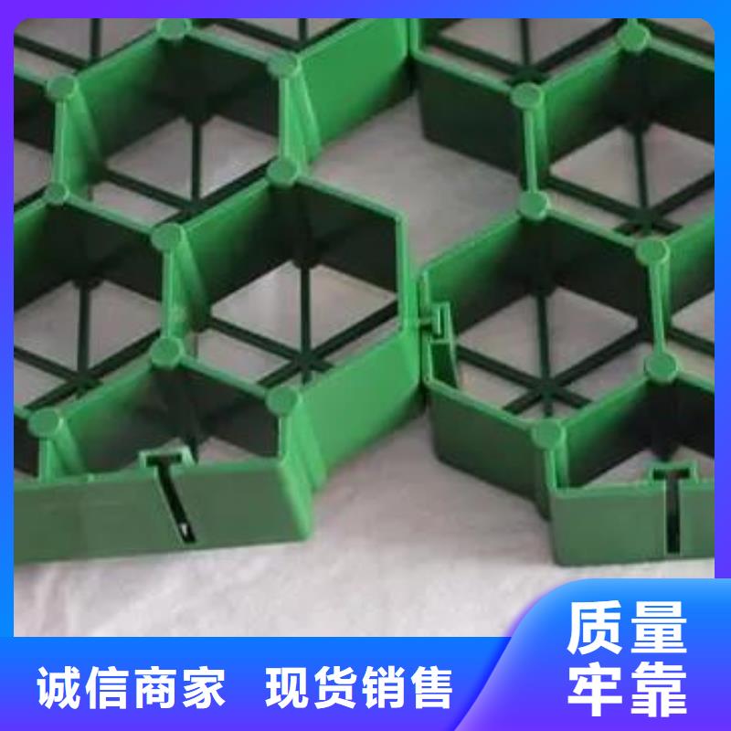植草格排水板卓越品质保障