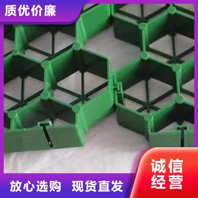 植草格,【植草格】今日新品