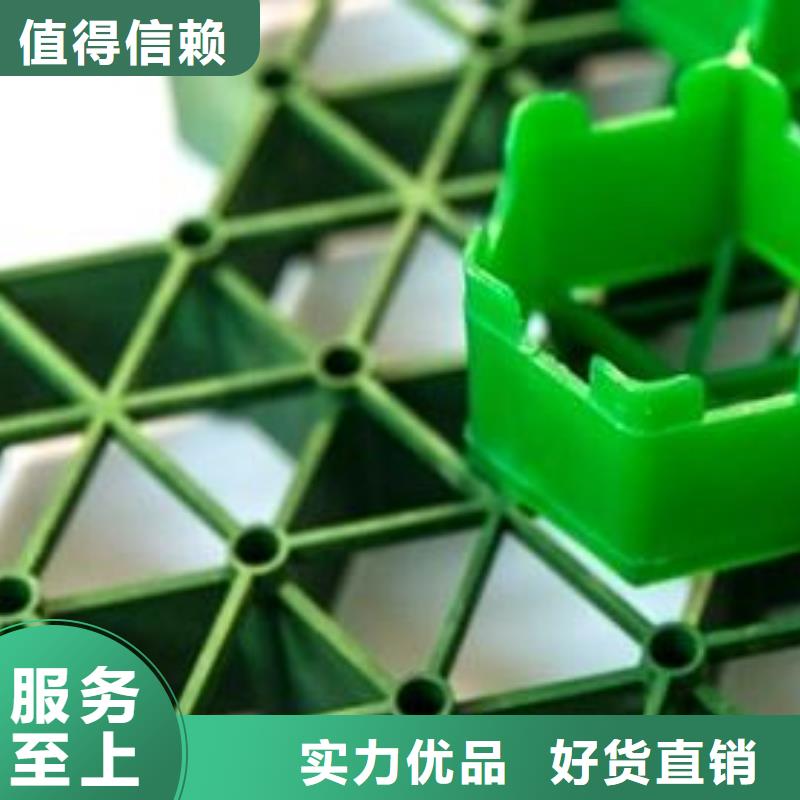 植草格植草格厂家直营