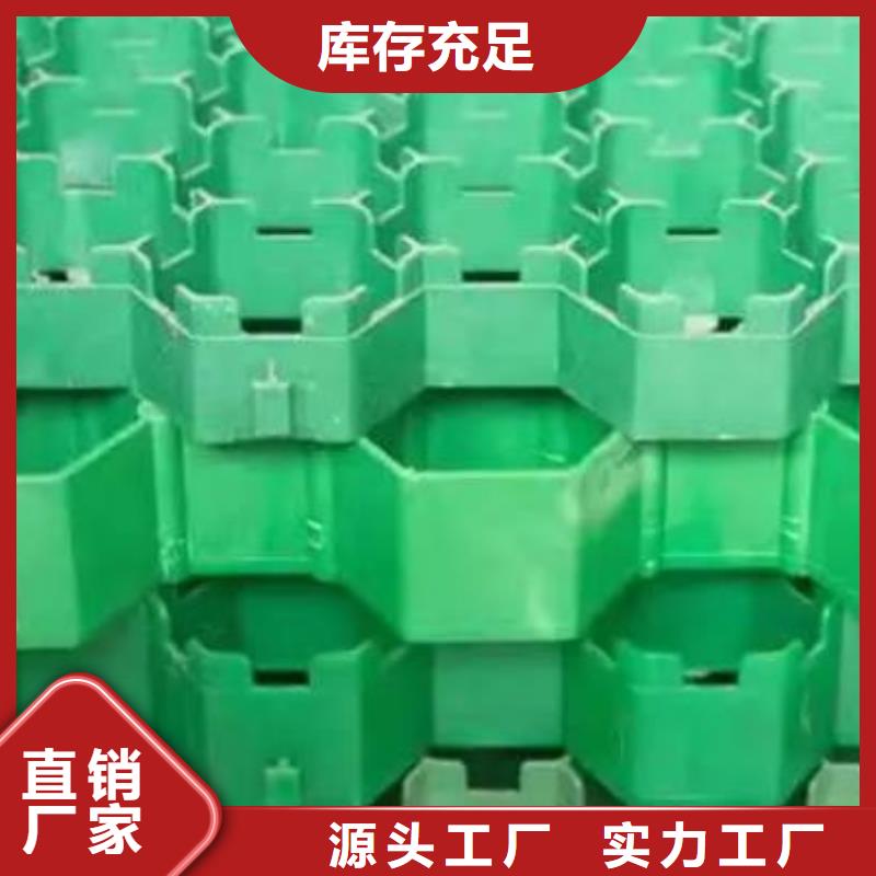 植草格【排水板】常年出售