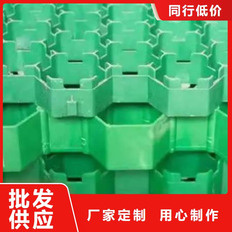 植草格水泥化粪池一手价格