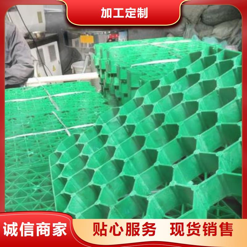 植草格排水板厂家经验丰富
