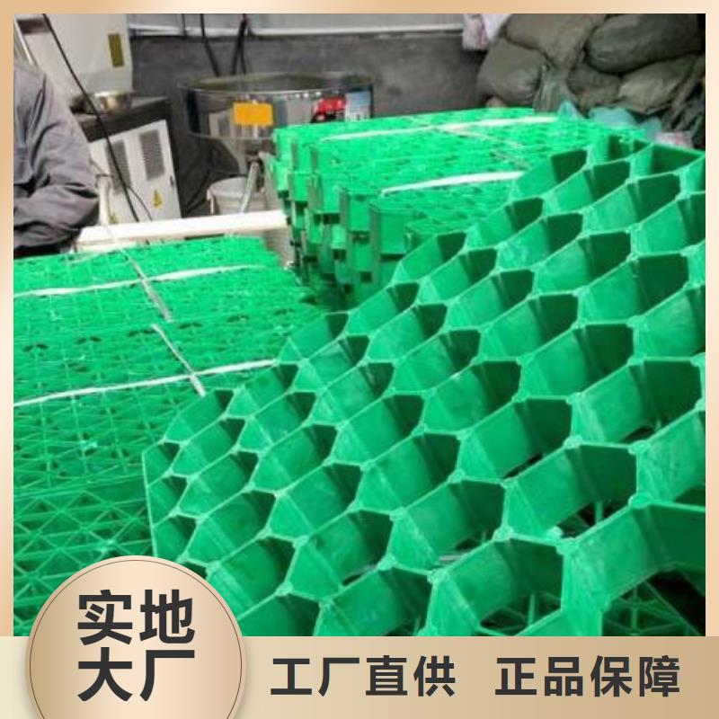 植草格厂家