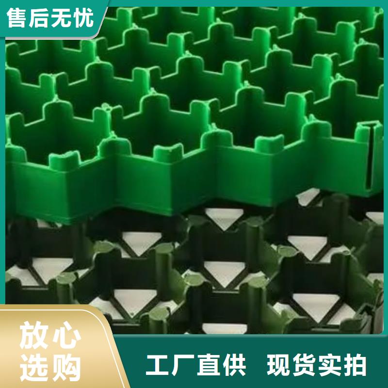 植草格植草格多年行业经验