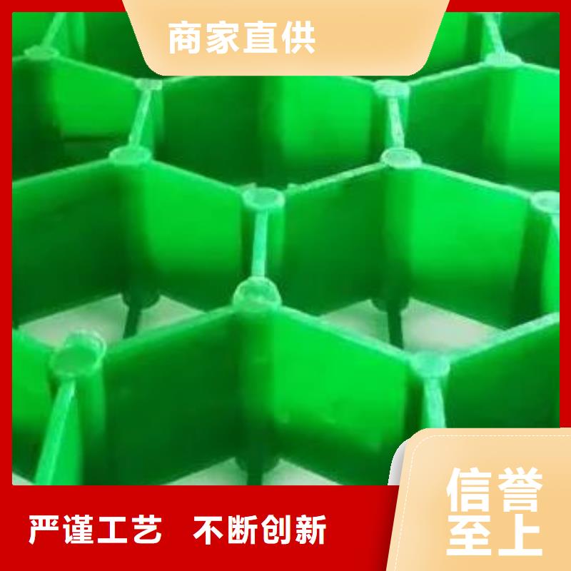 植草格实力商家供货稳定