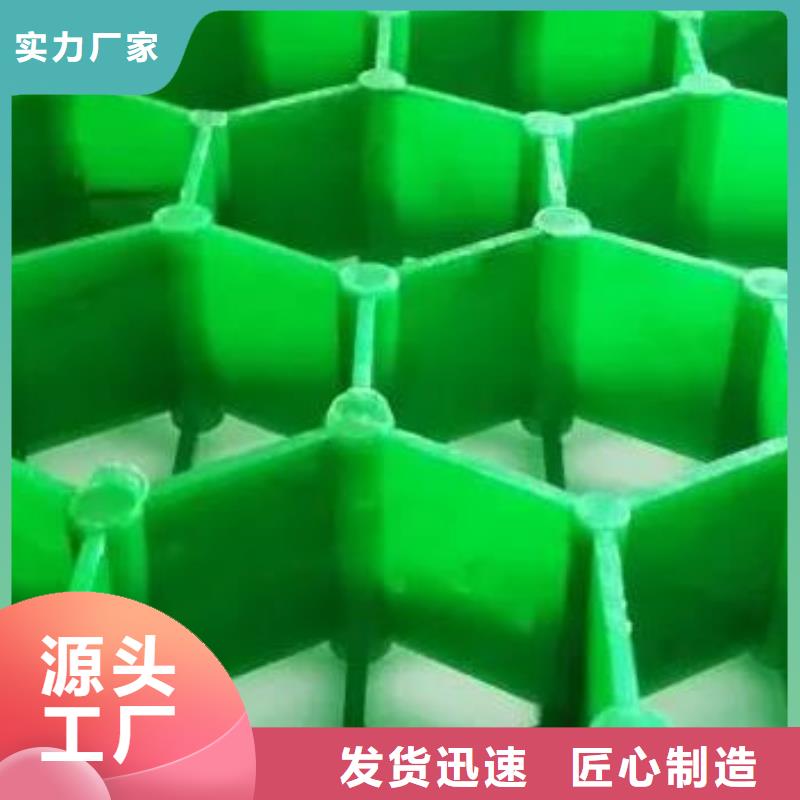 【植草格,植草格正规厂家】