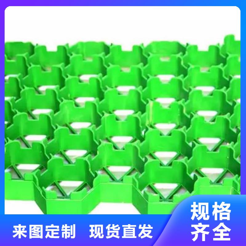 【植草格】防护虹吸排水收集系统送货上门
