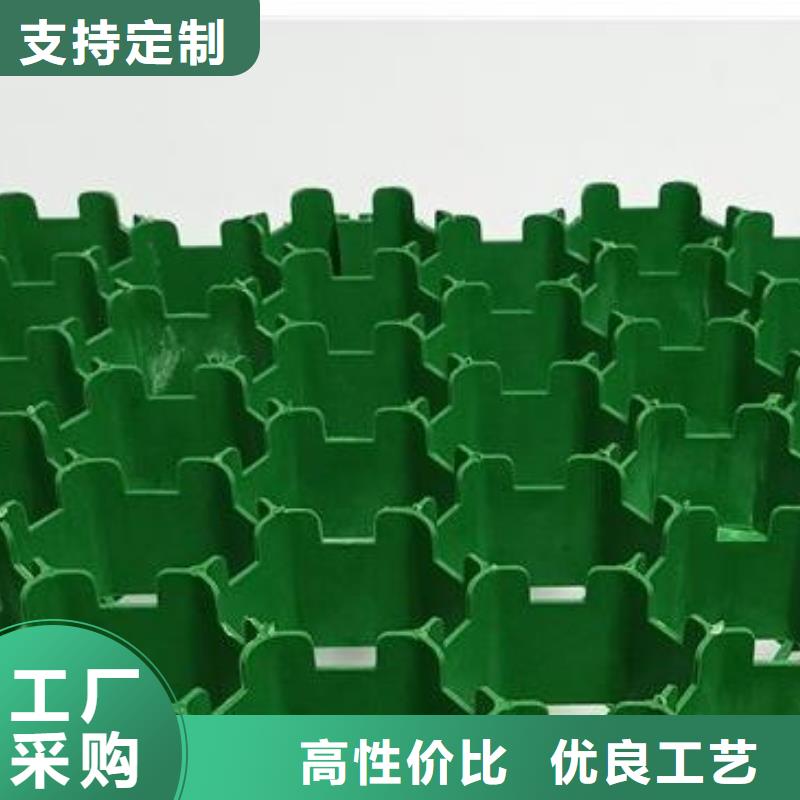 【植草格】植草格现货批发