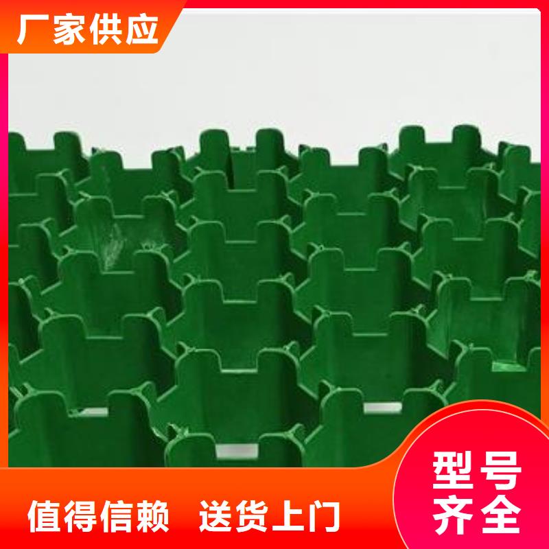 植草格植草格品质好才是硬道理
