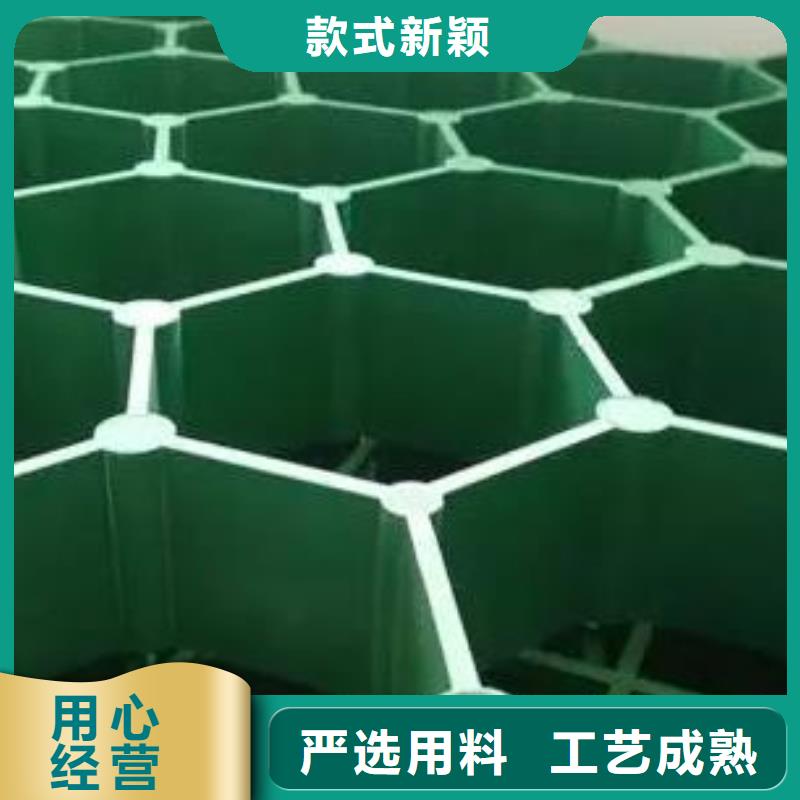 植草格防护虹吸排水收集系统高性价比