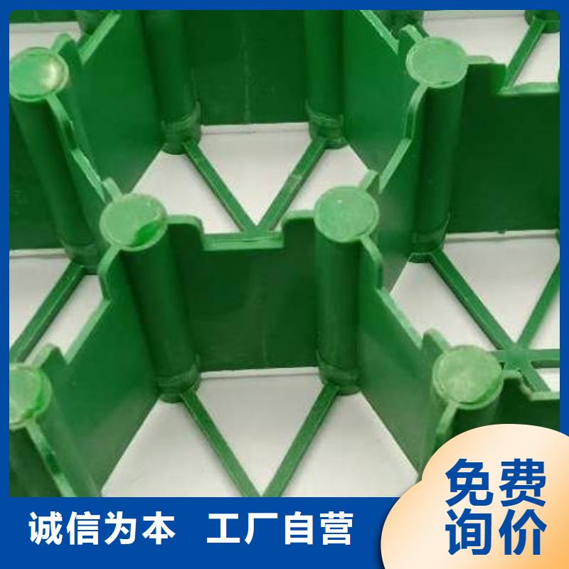 植草格专业按需定制