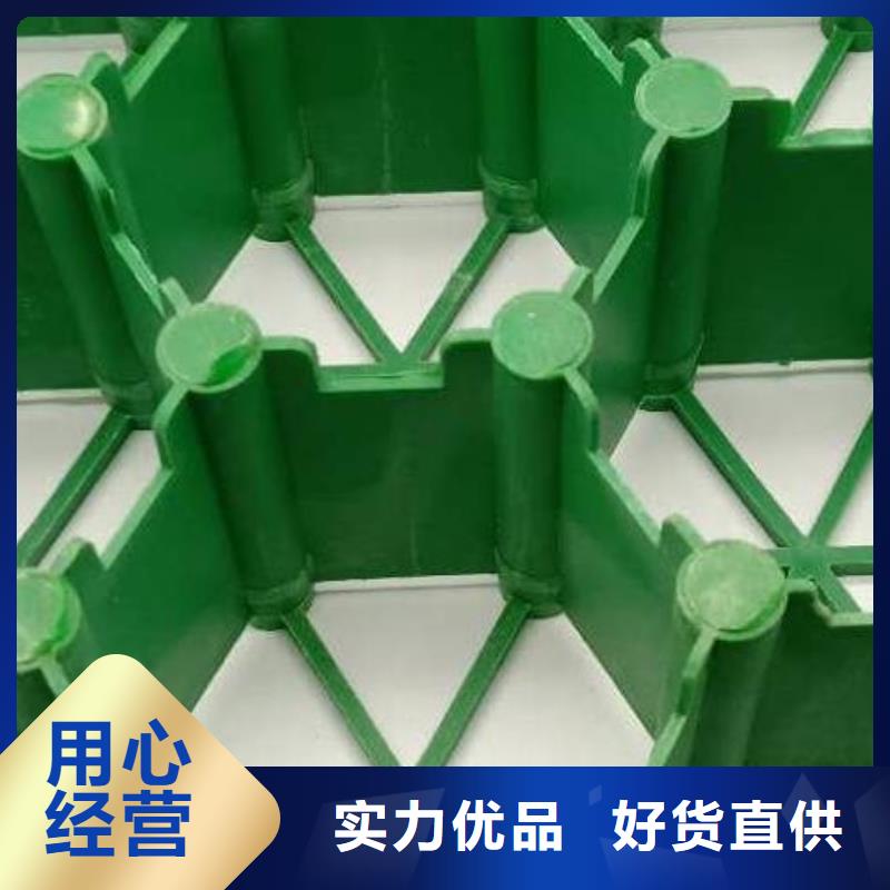 植草格_排水板当地货源