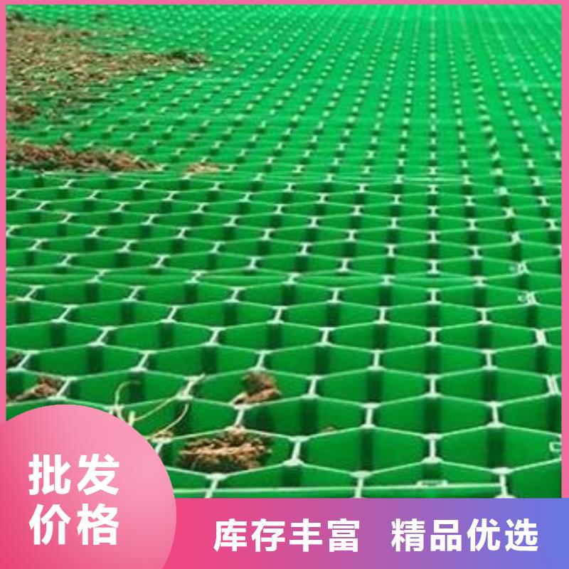 植草格水泥化粪池精选货源