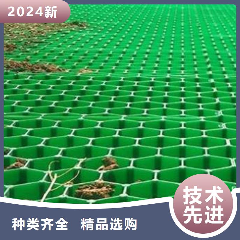 植草格水泥化粪池精选货源