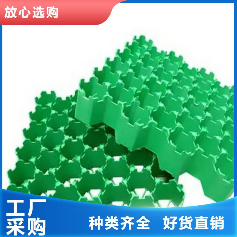 【植草格,植草格正规厂家】