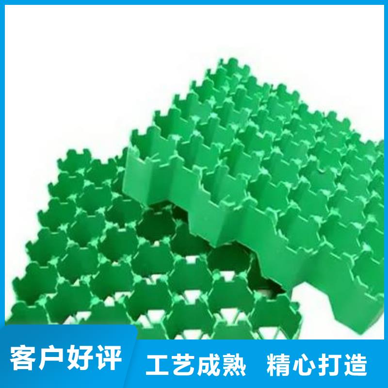 植草格水泥化粪池订制批发