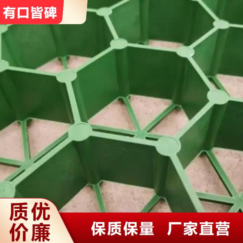植草格植草格多年行业经验