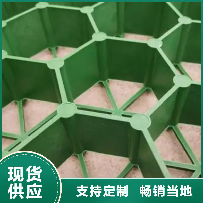 植草格-防护虹吸排水收集系统源头厂家量大价优