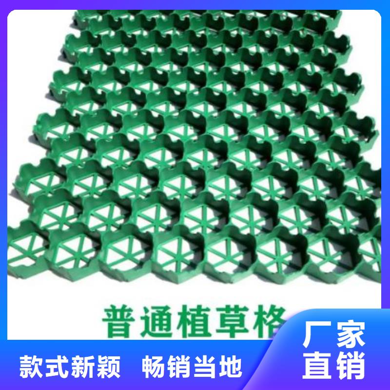 【植草格】_防护虹吸排水收集系统保质保量
