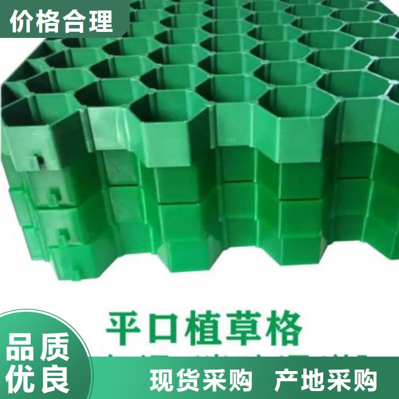 植草格-排水板高质量高信誉